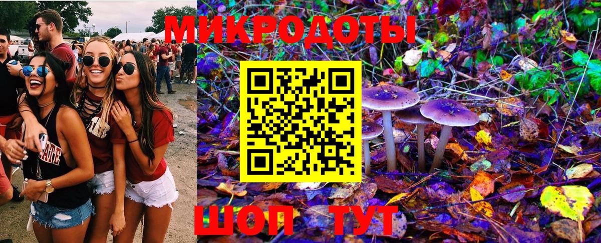 Галлюциногенные грибы мухоморы Мегион